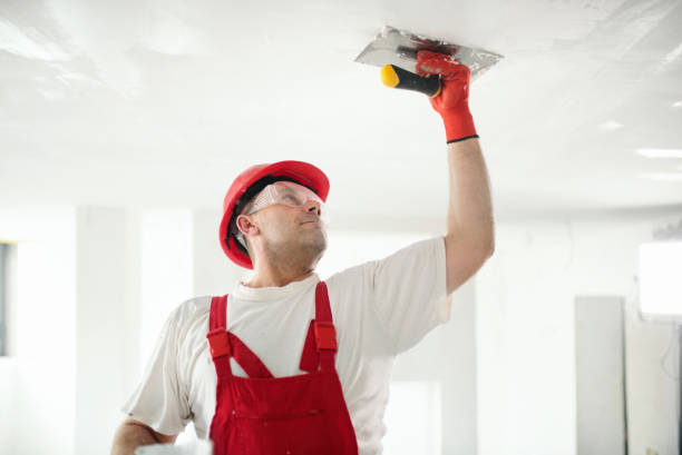 Best Residential Painting  in Enid, OK